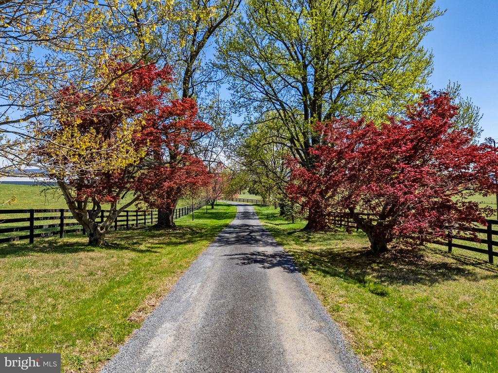 294 MILTON VALLEY LANE