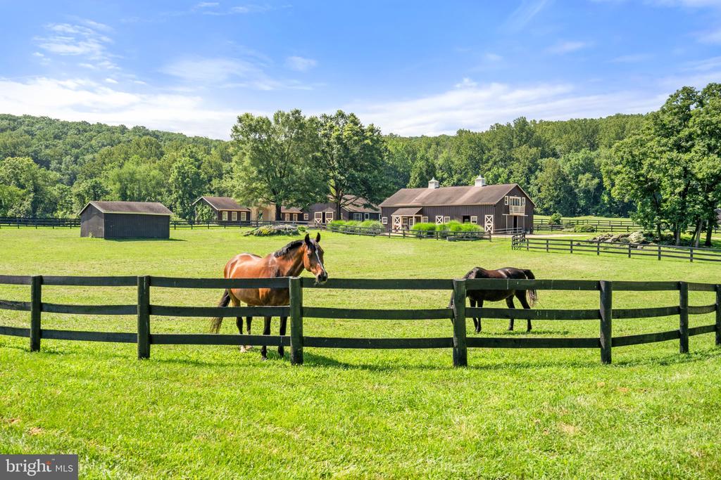 6289 COON TREE ROAD