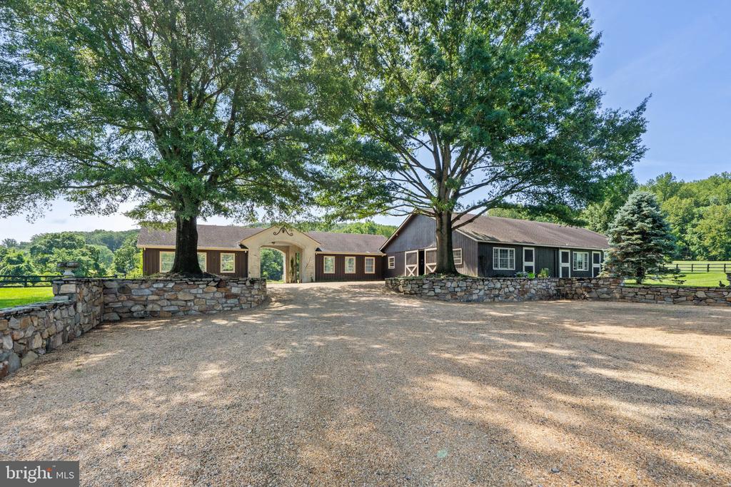 6289 COON TREE ROAD