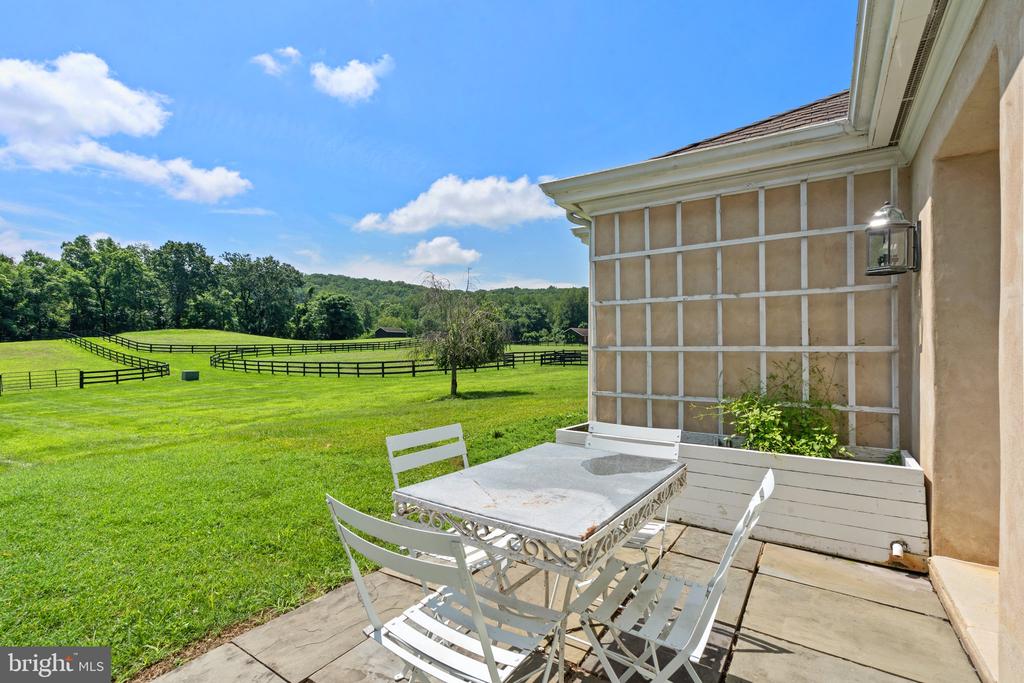 6289 COON TREE ROAD
