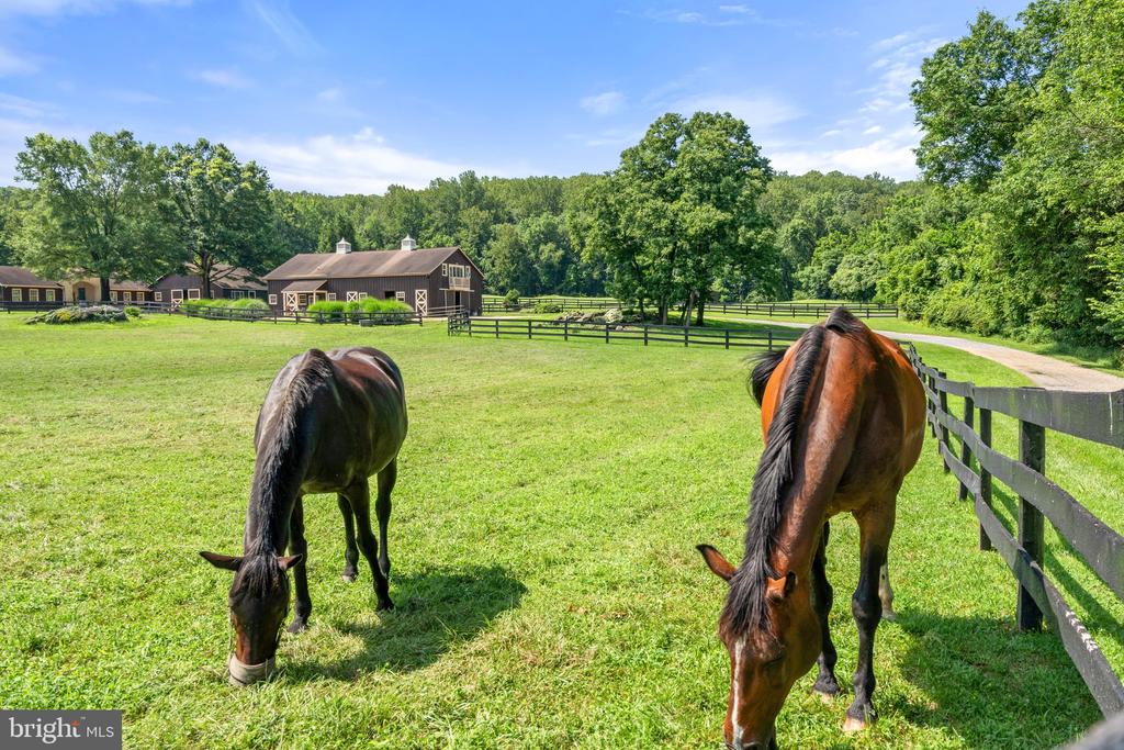 6289 COON TREE ROAD