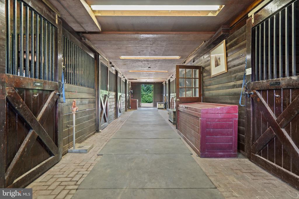 6289 COON TREE ROAD