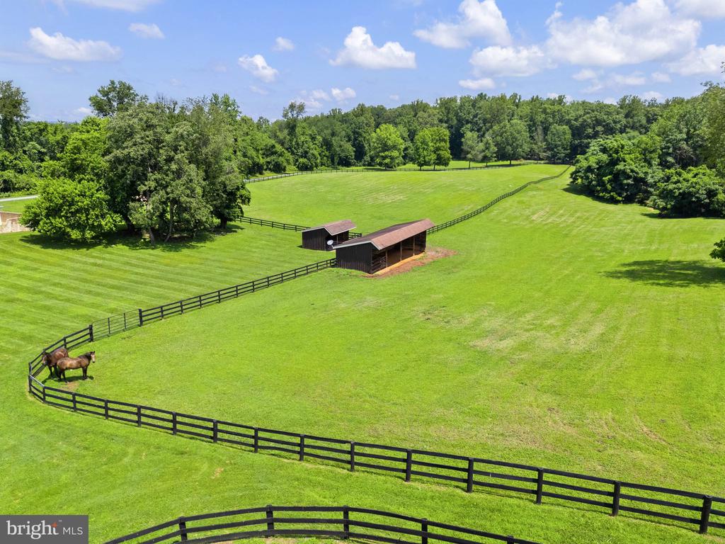 6289 COON TREE ROAD