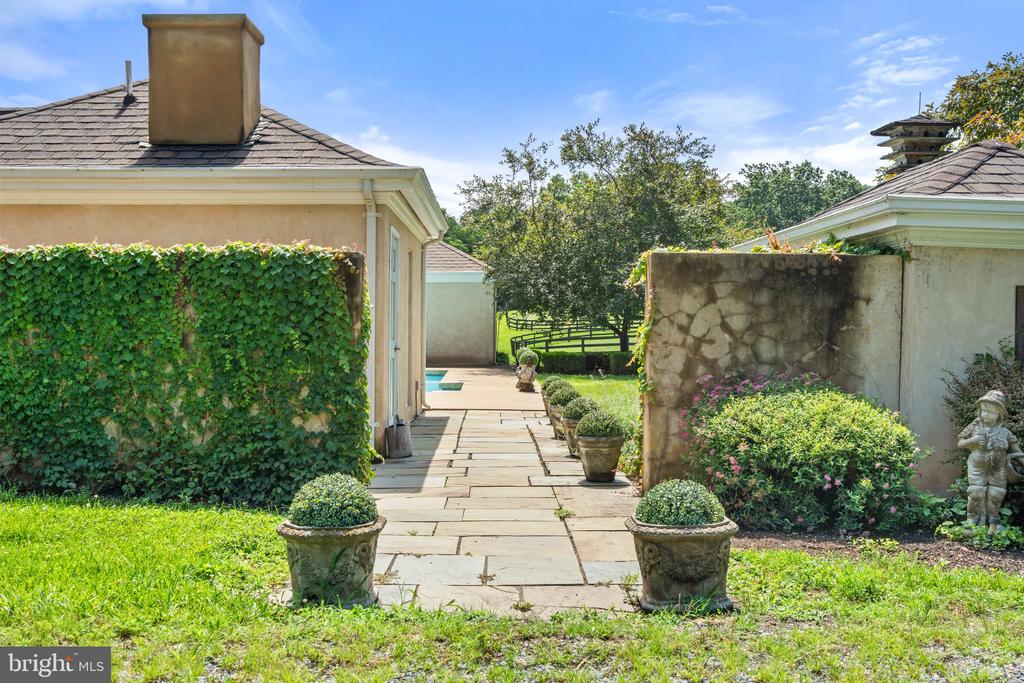 6289 COON TREE ROAD