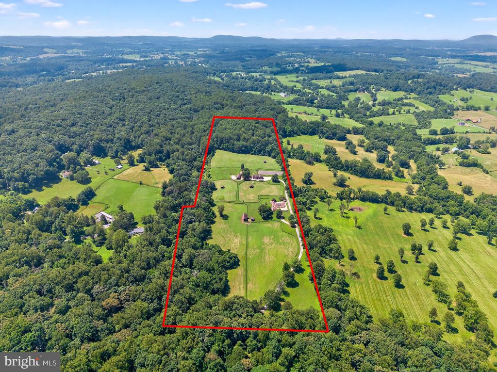 6289 COON TREE ROAD