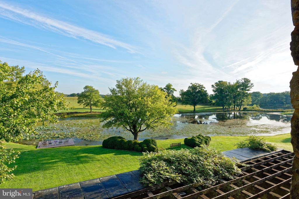 33846 FOXLEASE LANE
