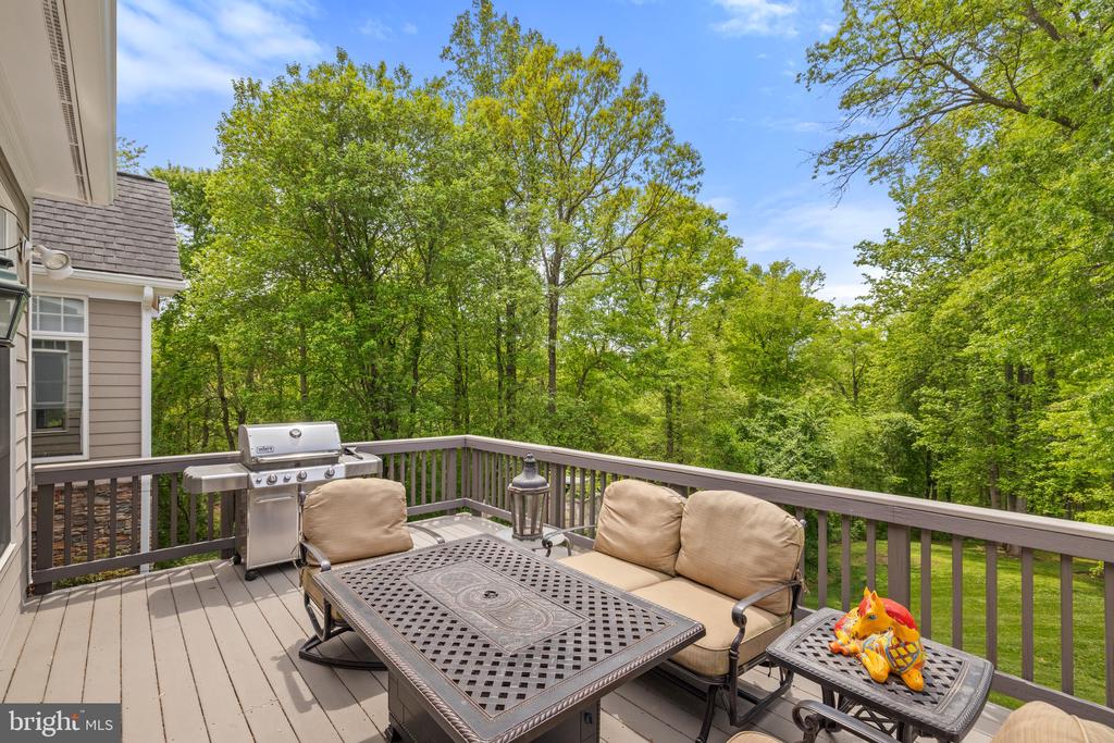 23533 LIGHT HORSE COURT