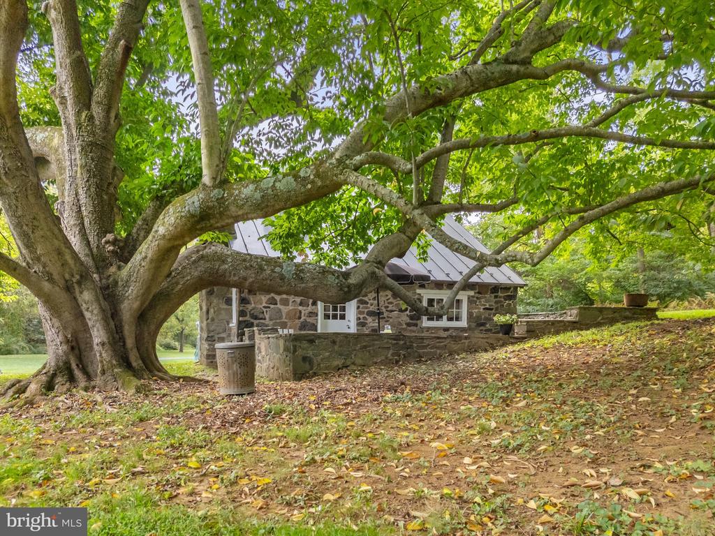 19205 DUNLOP MILL ROAD