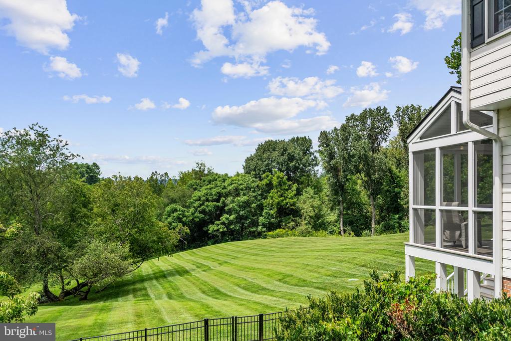 23117 PANTHERSKIN LANE