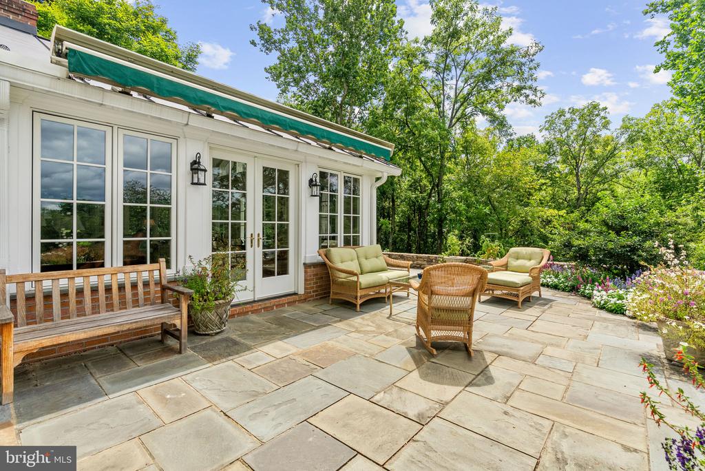23117 PANTHERSKIN LANE