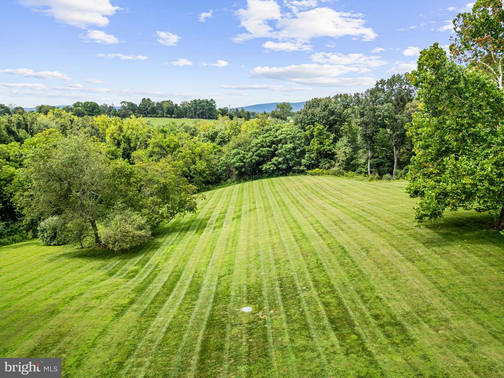 23117 PANTHERSKIN LANE