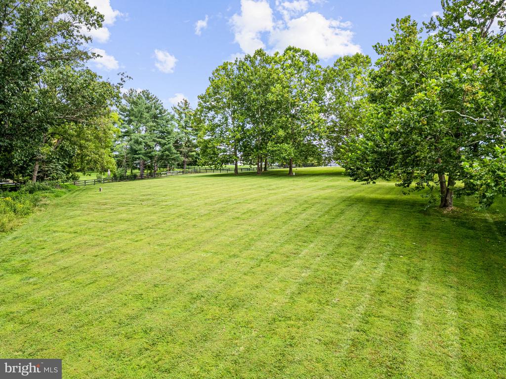 23117 PANTHERSKIN LANE