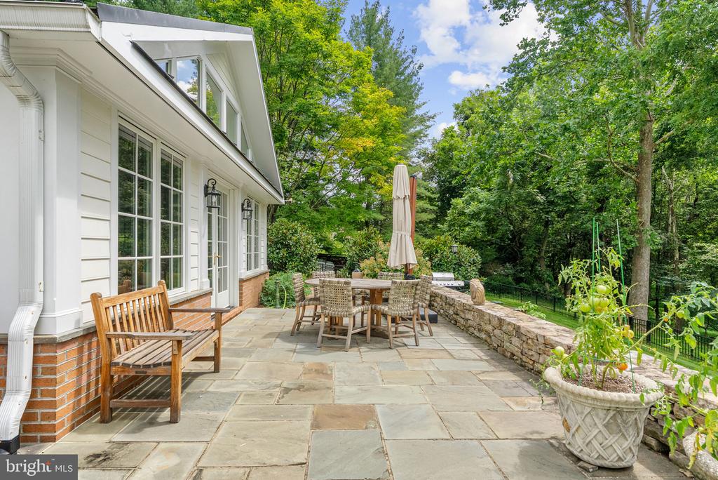 23117 PANTHERSKIN LANE