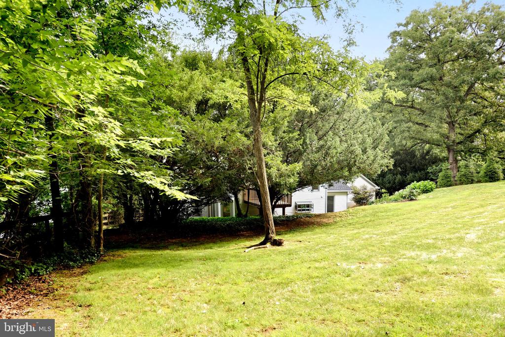 35739 HAYMAN LANE