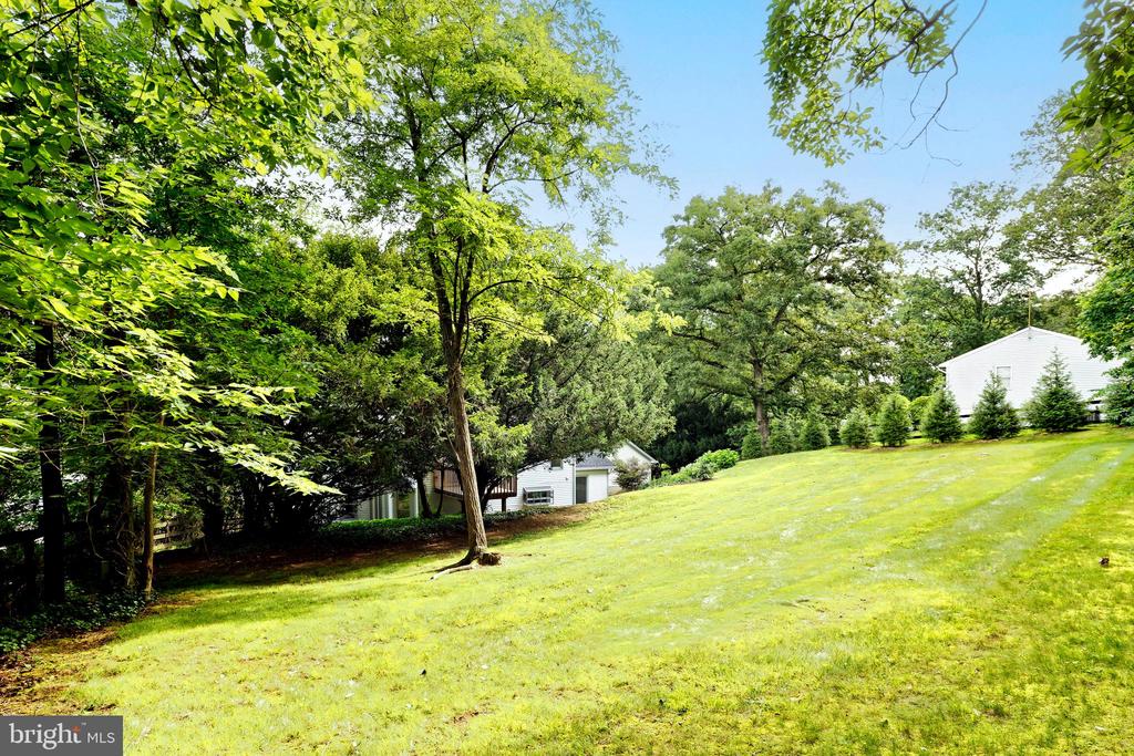 35739 HAYMAN LANE