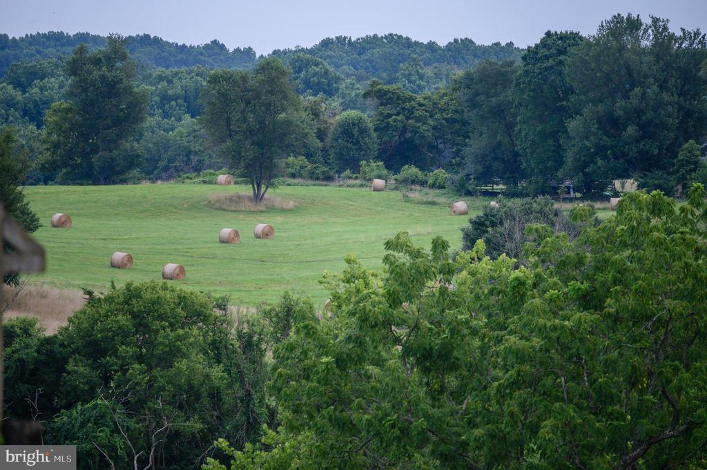 20084 WOODTRAIL ROAD