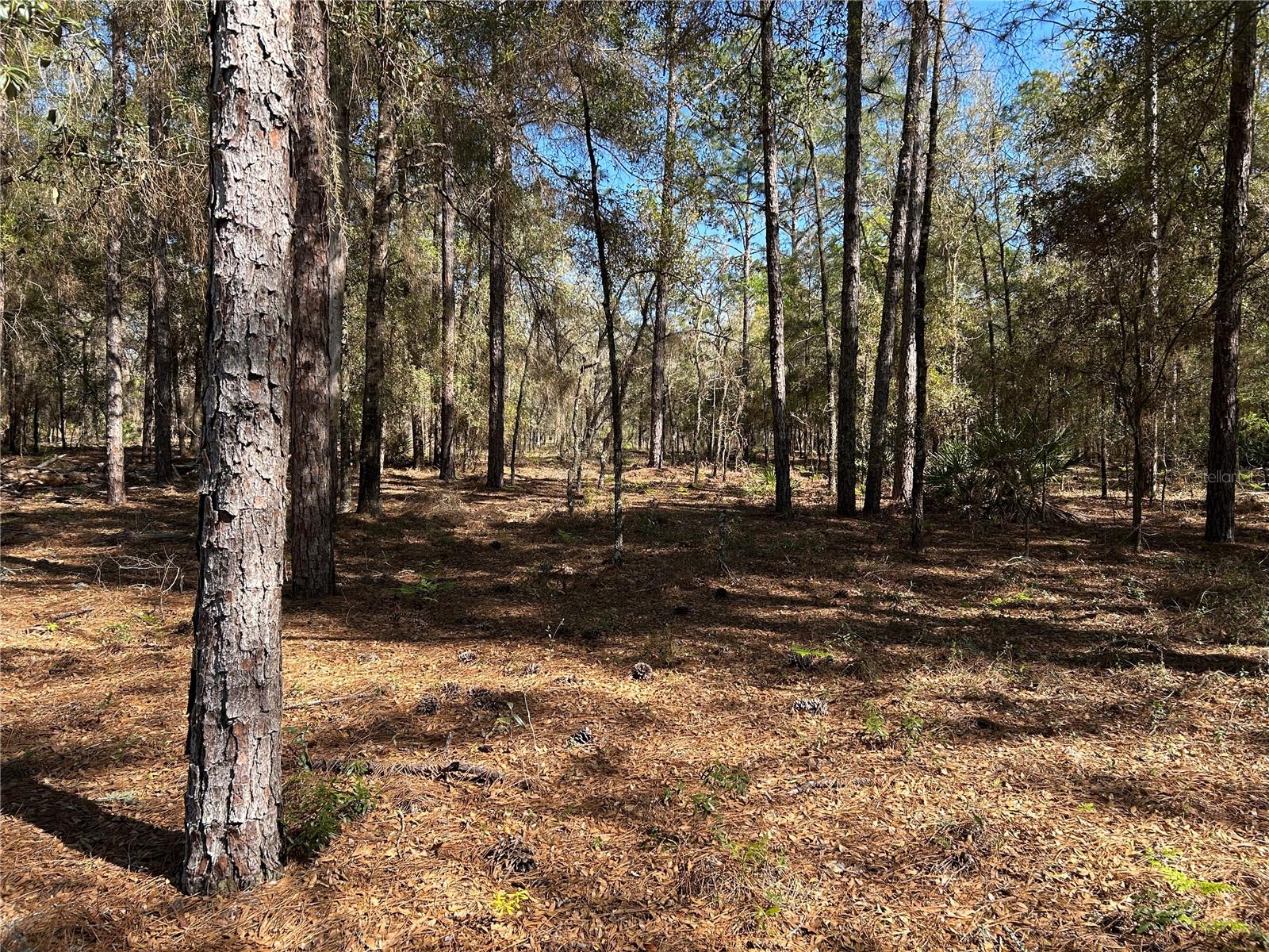 Lot 23 SW 181ST CIR
