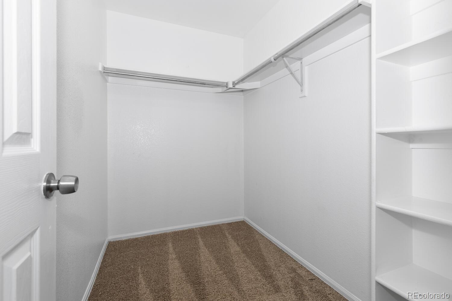 Walk-in closet with carpet, hanging rods, and built-in shelves.