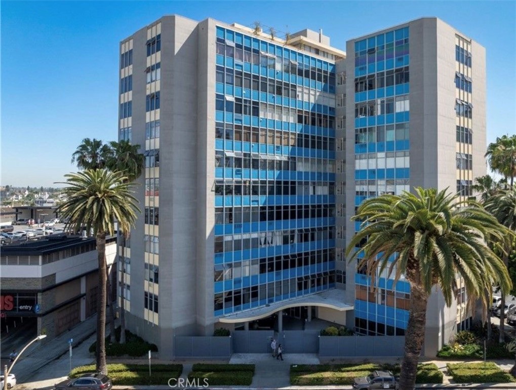 Multi-story office building with blue glass windows and palm trees along the street.
