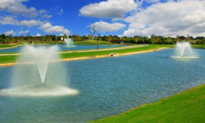 1315 Divine Rose Way