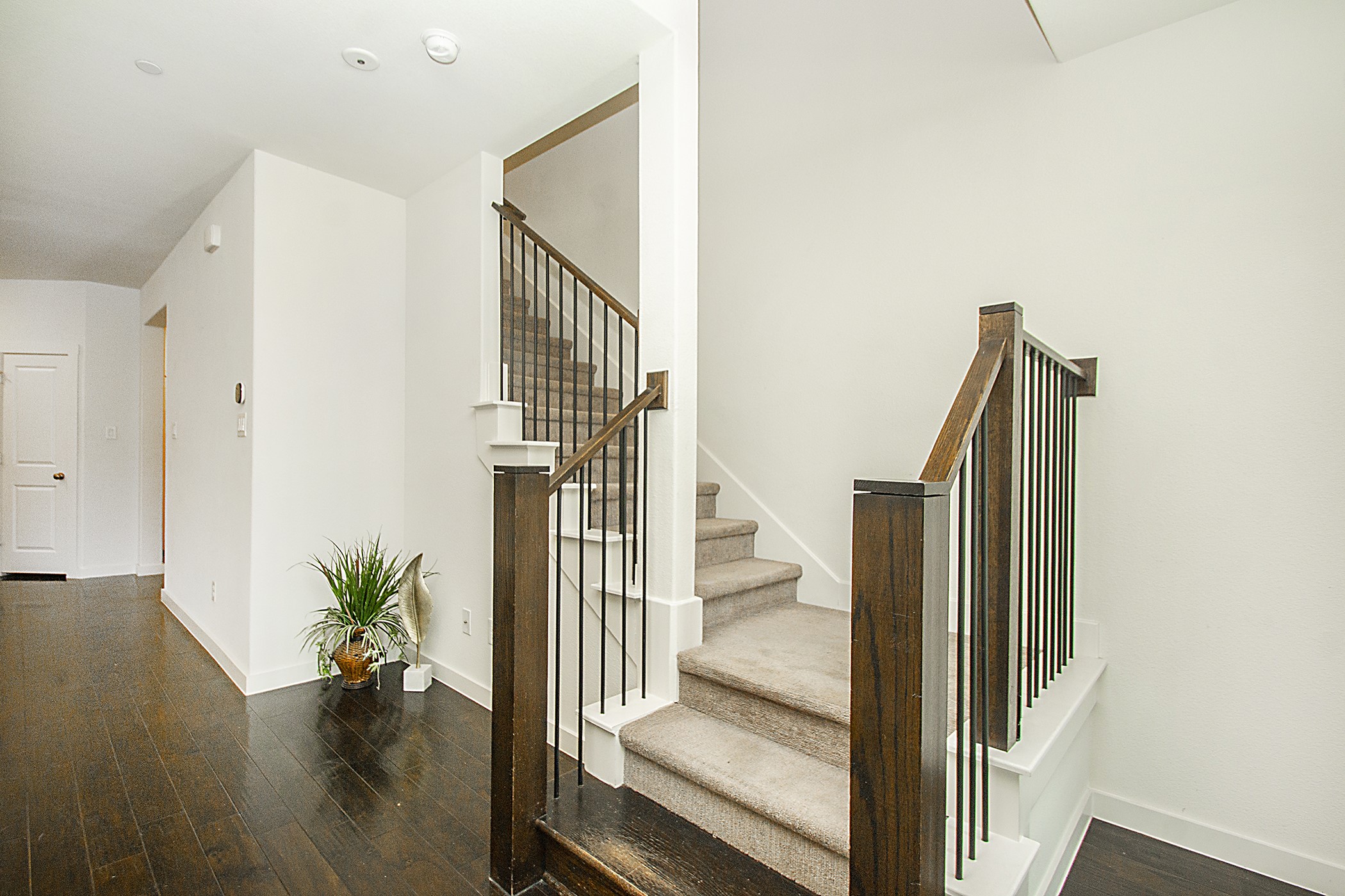 432 Texas Drive