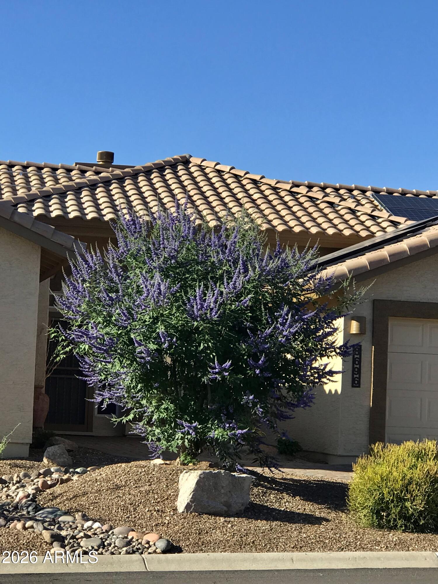 8696 E ALOE Drive