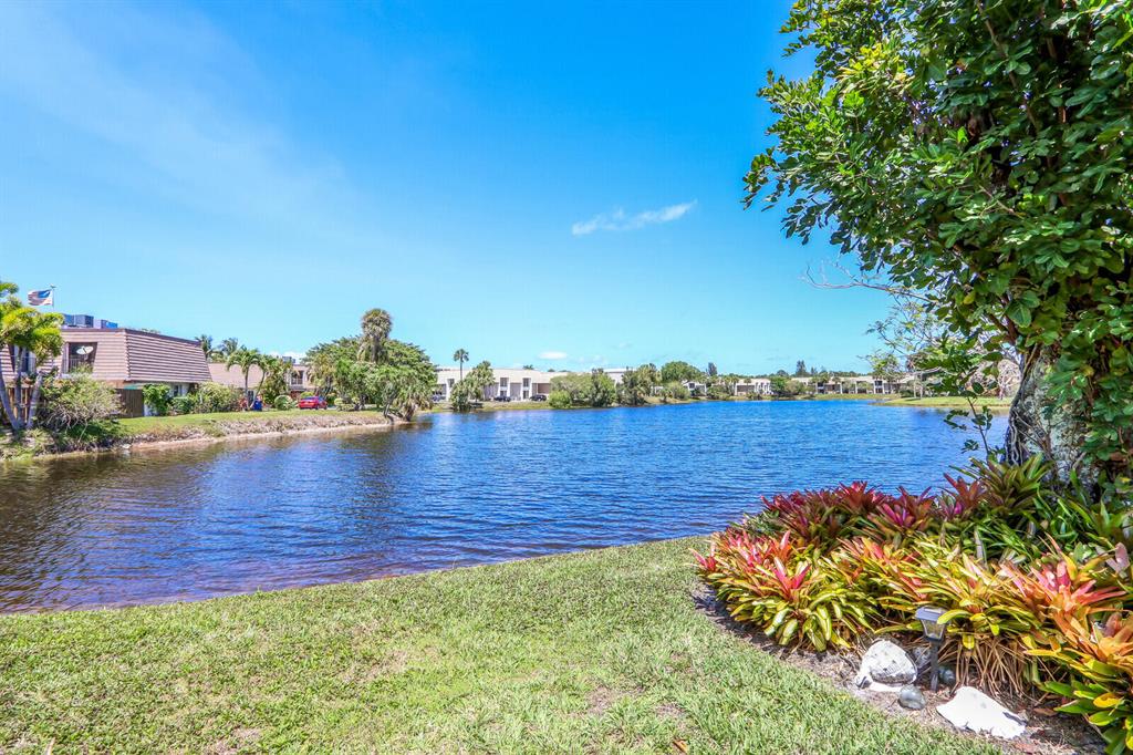 Residential lake with homes across the water and colorful tropical plants along the grassy shore.