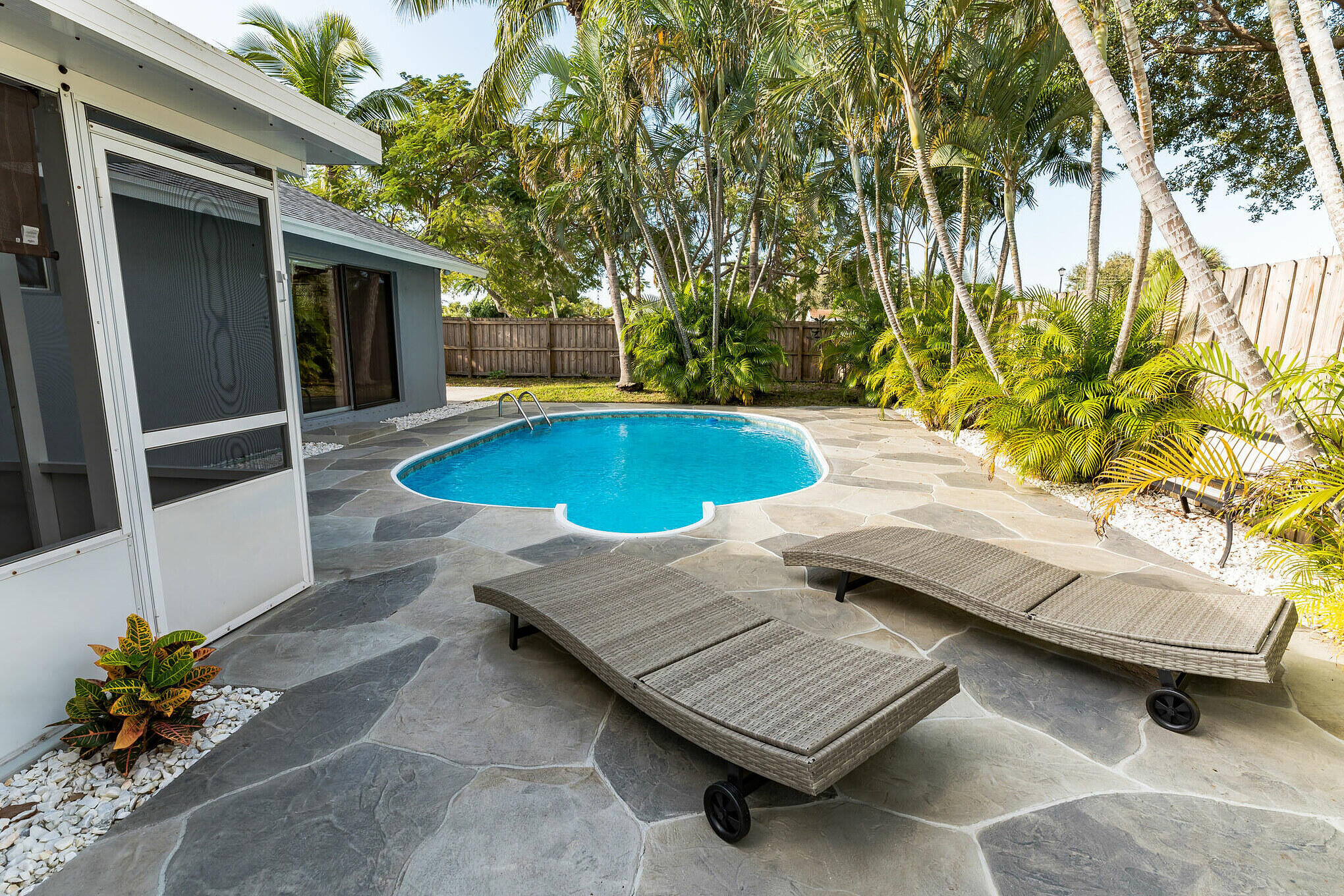 Backyard pool with a stone patio, two chaise lounges, and tropical palms.