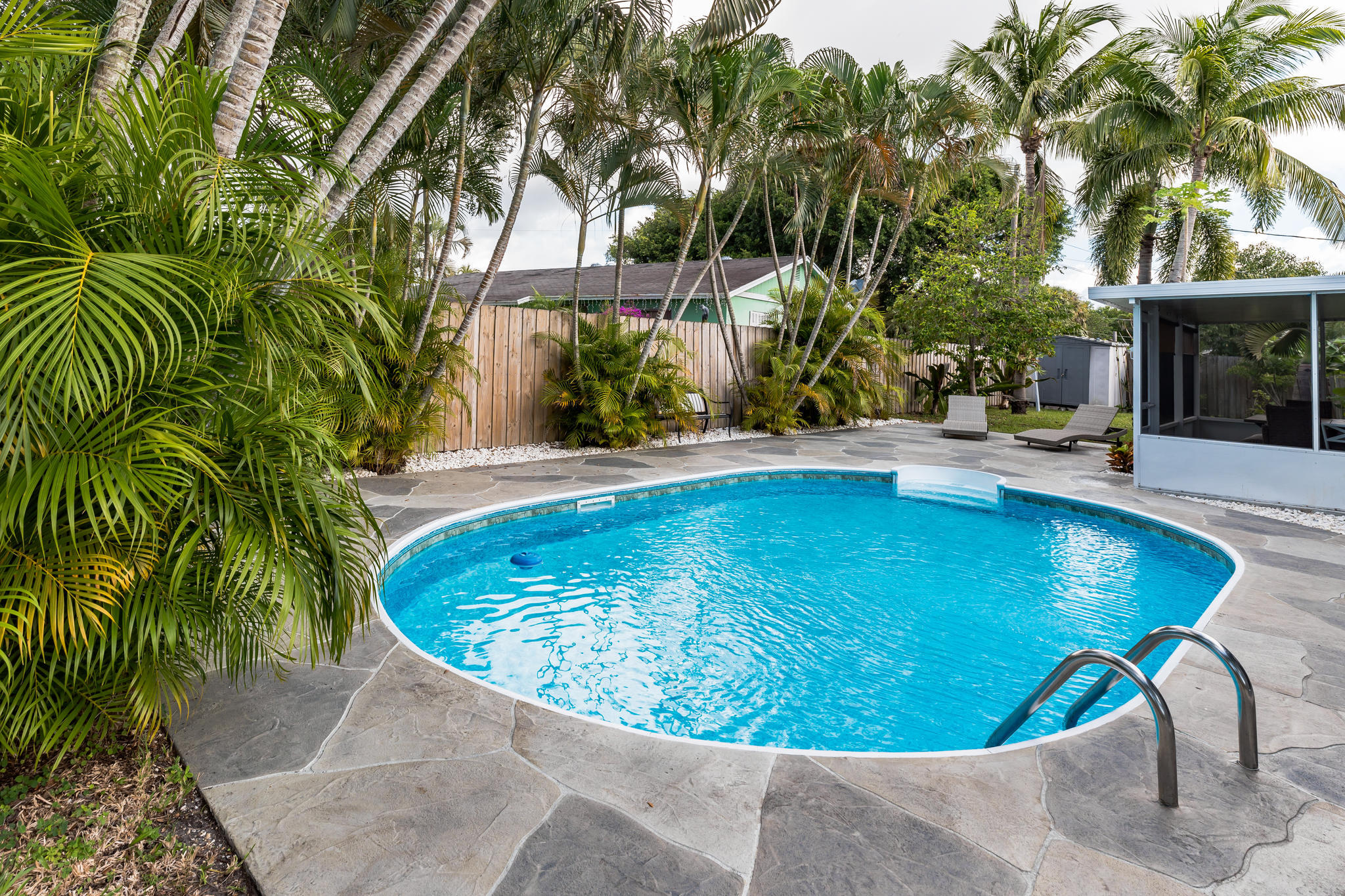Curved swimming pool with a stone patio, palm trees, and lounge chairs.