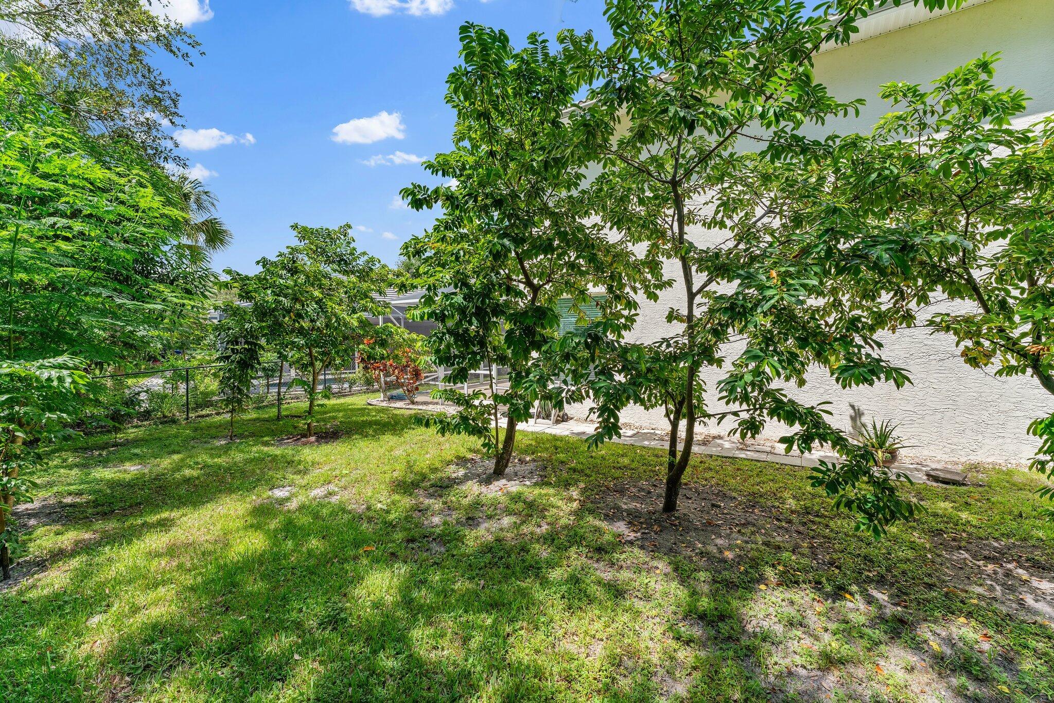 1019 Egret Landing Boulevard