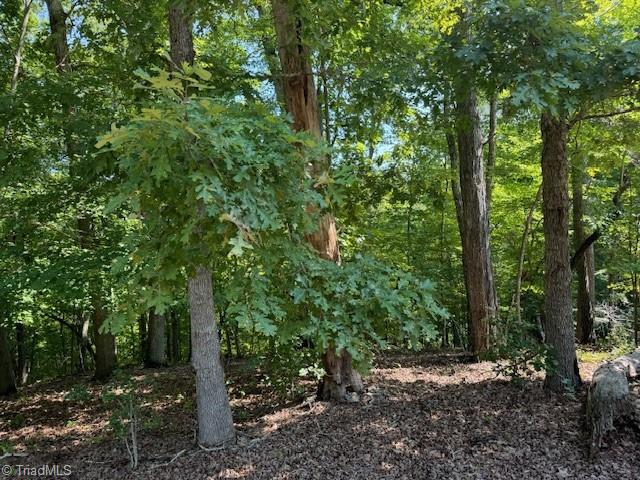 200 Jubal Reeves Circle