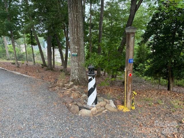 111 Holly Cove Trail