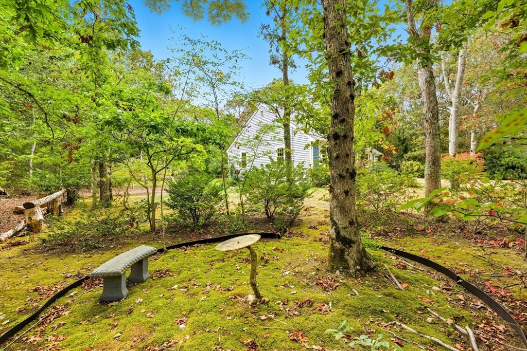 7 Widow Coombs Walk
