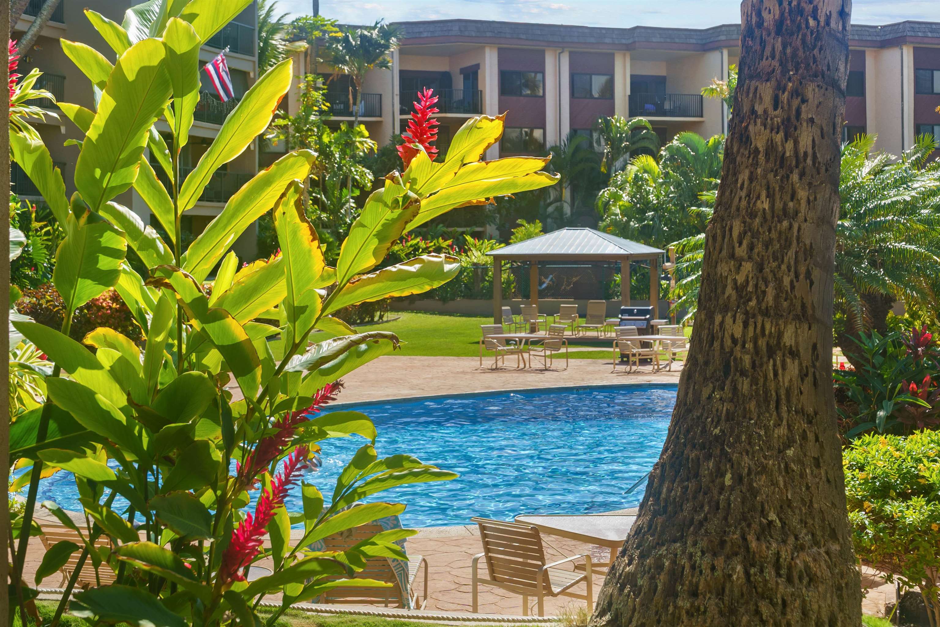 3823 Lower Honoapiilani Rd Unit: 105