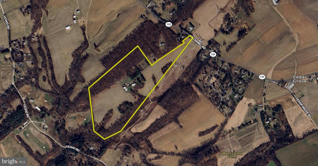 Aerial view of a large rural parcel outlined in yellow, with fields, woods, and Mount Carmel Road.