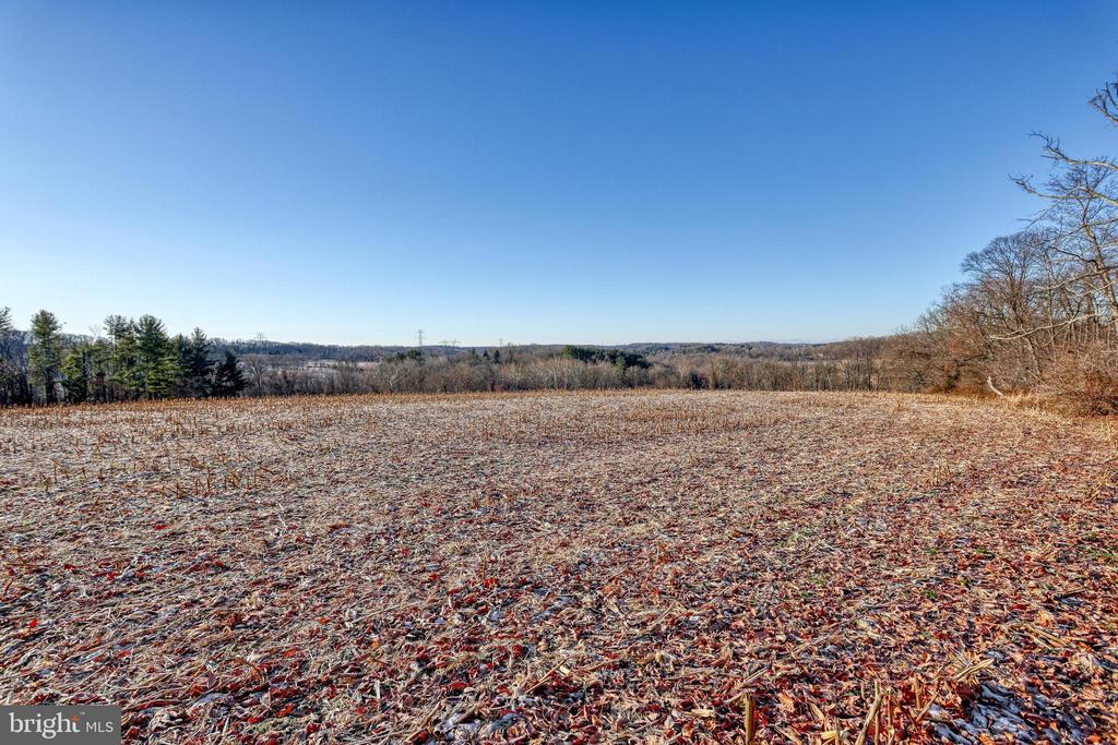 Open harvested field bordered by trees, with a distant wooded horizon.