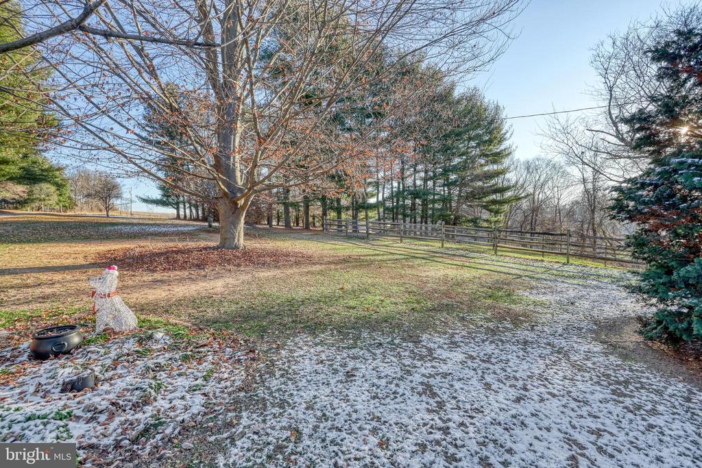 Snow-dusted yard with mature trees, a wooden fence, and a small garden statue.