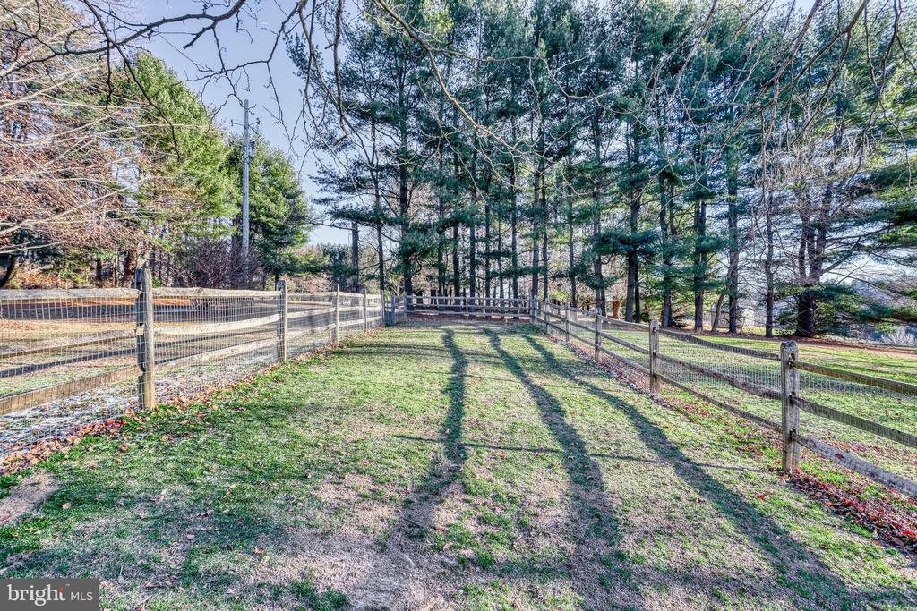Fenced grassy yard bordered by tall trees, with a wooden gate at the far end.