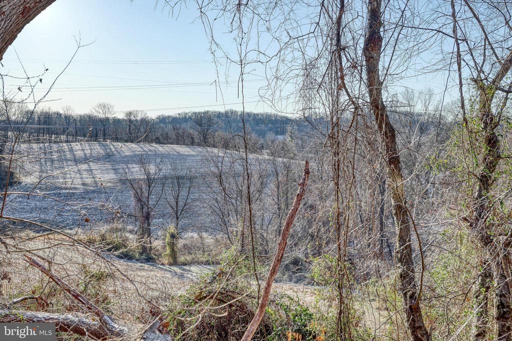 Frosted rural field and distant wooded hills seen through bare trees.