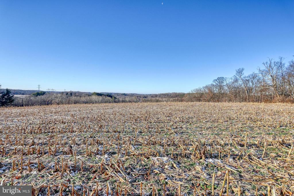Frost-dusted harvested field stretches toward a distant tree line beneath a clear blue sky.