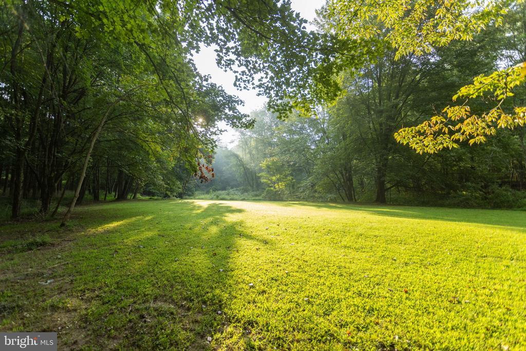 Grassy clearing bordered by mature trees, with sunlight across the lawn and yellow leaves overhead.