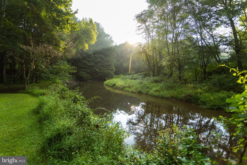 Wooded creek reflecting golden-hour sunlight, with grassy banks and mature trees.