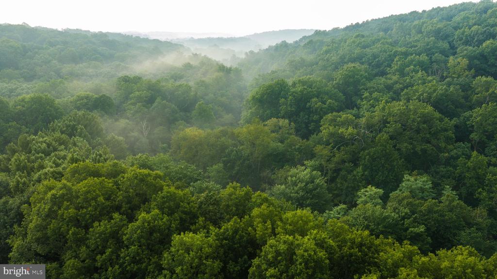 Misty wooded valley between densely forested green hills.