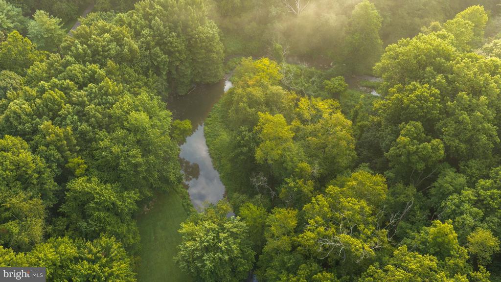Aerial view of a winding pond through dense woodland in warm sunlight.