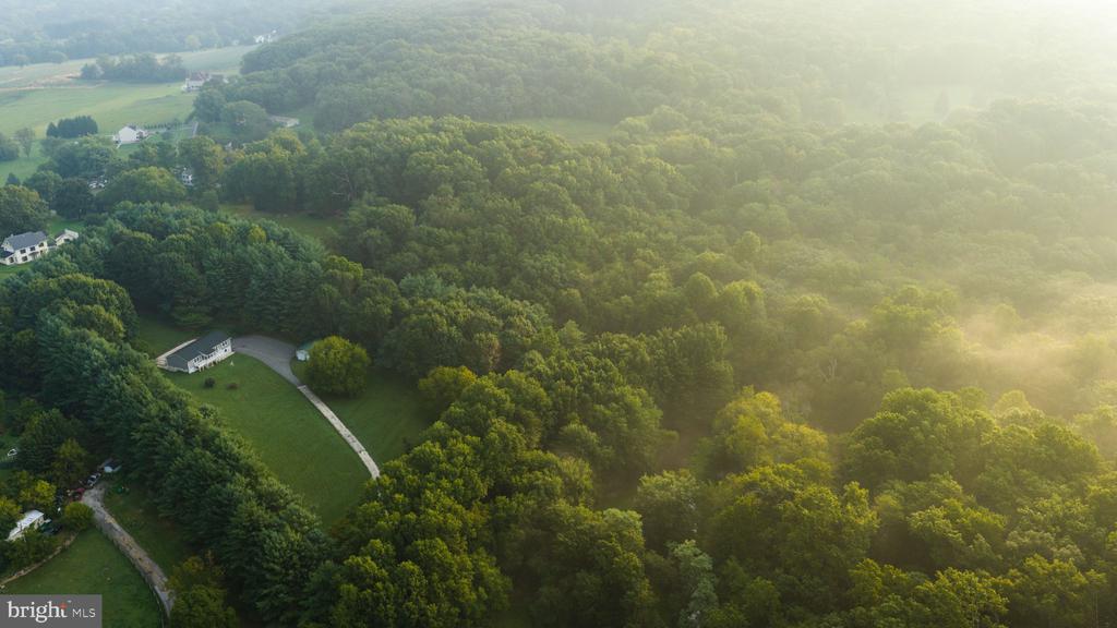Aerial view of wooded acreage with a grassy clearing and long driveway in warm sunlight.