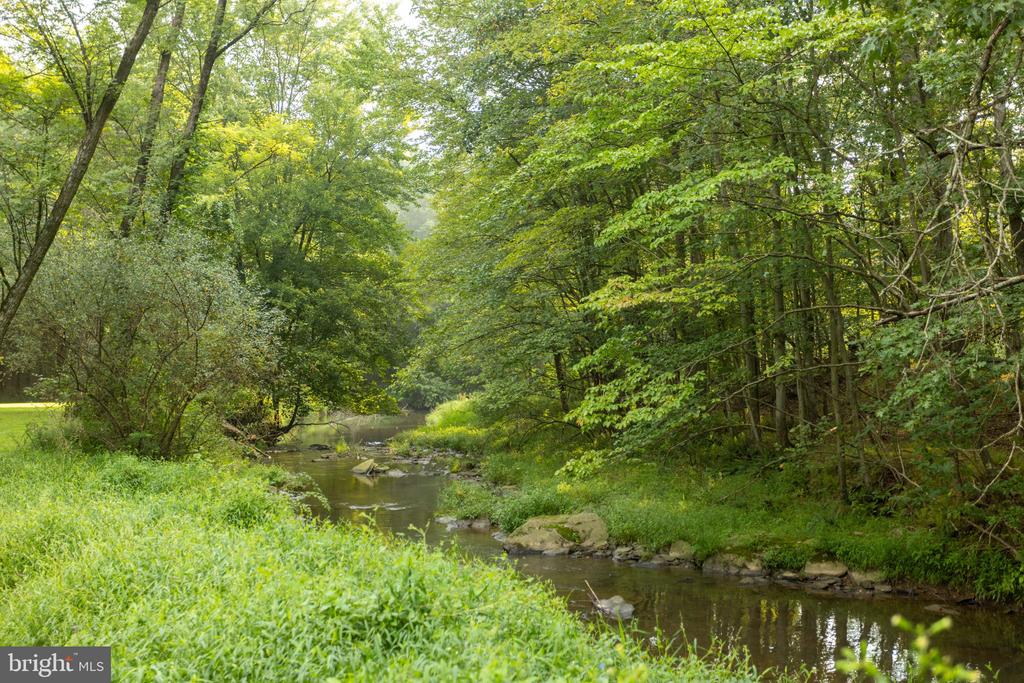 Wooded creek winding past rocky banks and lush green vegetation.