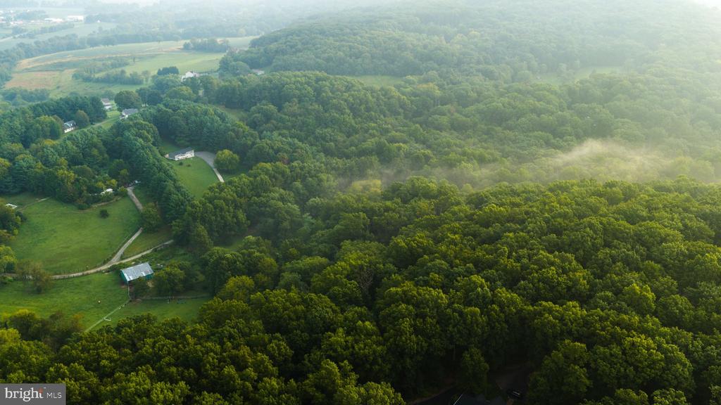 Aerial view of dense woods bordering open fields, with a winding driveway and scattered buildings.