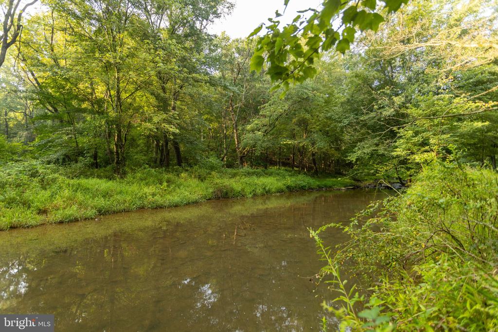 Wooded property creek bordered by dense green trees and grasses.