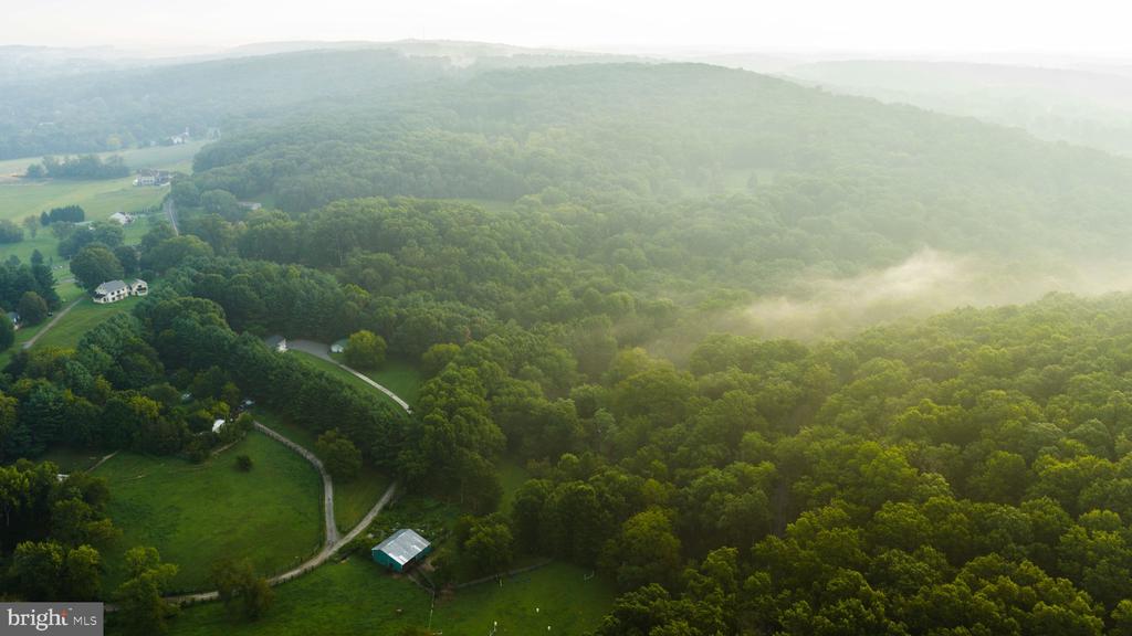 Aerial view of a wooded rural property, with a curved driveway and misty hills beyond.
