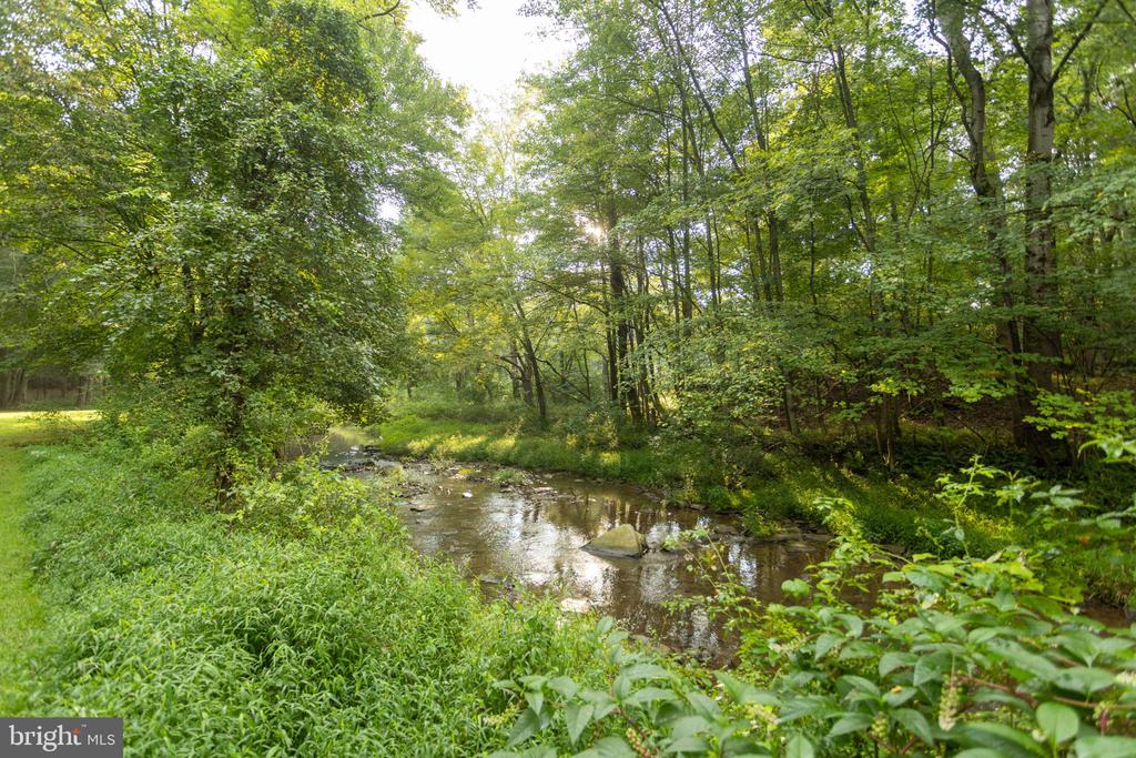 A shallow creek winding through dense green woodland, with rocks in the water and sunlight filtering through the canopy.